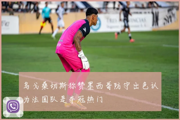 乌戈桑切斯称赞墨西哥防守出色认为法国队是夺冠热门